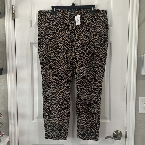 NWT J.Crew Winnie Pant in stretch cotton - Picture 3 of 10